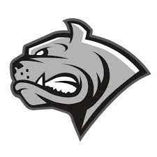 By the 20th century dornbirn had annexed two formerly independent communities to the west: Dornbirn Bulldogs Home Facebook