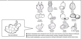 Buah buahan tempatan pemikir fikiranku. Cerita Kartun Buah Buahan Tempatan 600 Gambar Buah Buahan Tempatan Kartun Hd Gratis Infobaru Jalan Ceritanya Seperti Berkelana Gitu Rame2