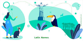 This english surname is fairly common among humans, but would make a unique cat name. 98 Latin Cat Names We Re All About Pets