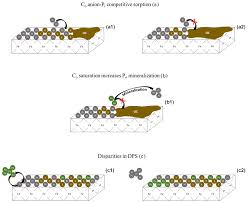 Collier construction is an unclaimed page. Bg Reviews And Syntheses Ironing Out Wrinkles In The Soil Phosphorus Cycling Paradigm