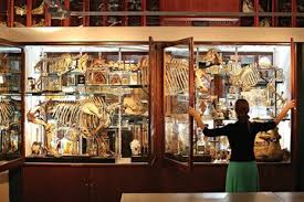 Check spelling or type a new query. Polemik Sci Hub Penolong Atau Penghambat Perkembangan Sains Dunia Semua Halaman National Geographic