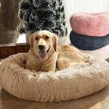 Epingle Sur Cute Animals