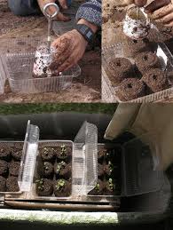 Diy home projects for beginners: 22 Incredible Budget Gardening Ideas Garden Ideas On A Budget Balcony Garden Web