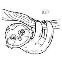 Check out our sloth coloring pages selection for the very best in unique or custom, handmade pieces from our раскраски shops. Coloring Book Sloth Royalty Free Vector Image Vectorstock
