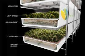Unfortunately the lack of room impeaches me to grow vegetables as i would like. Ikea David Chang And Ruler Of Dubai Invest 40 Million In Aerofarms Vertical Farming