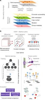 Try different colors against your skin and learn which palettes look best on you. Interpreting Pathways To Discover Cancer Driver Genes With Moonlight Nature Communications