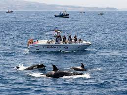 El tiempo en tarifa ⚠️ parcialmente nublado entre 19.º y 18º. Aplazada Al 9 De Julio La Famtrip De Turmares Por El Tiempo