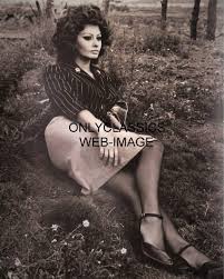 Sophia loren, 84, sheds her bombshell image to play a woman in a wheelchair. Onlyclassics 1963 Sexy Sophia Loren Yesterday Today Tomorrow 8x10 Photo Pinup Cheesecake Photographs Amazon Com