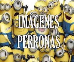Las imágenes con frases chidas que te vamos a mostrar a continuación son una gran manera de expresar tus sentimientos mas profundos y de compartir pensamientos, sentimientos, ideas y mucho. Imagenes Chidas Chingonas Perronas Con Frases De Amor Y De Todo