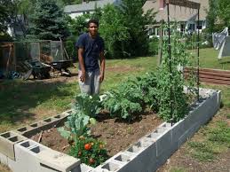I ended up taking out the we. Cinder Blocks Are An Easy Way To Build Raised Garden Beds Riverheadlocal