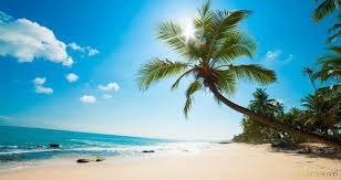 Harga tiket balikpapan sorong ekonomi / kelas berapa. Báº£ng Gia Tour Du Lá»‹ch Phu Quá»'c 2021 Thang 5 2021 Má»›i Nháº¥t Du Lá»‹ch Sá»'