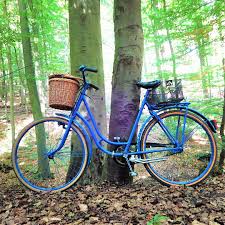 Kennt Ihr Die Kulturroute Mit Ihr Konnt Ihr Auf Rund 800km Mit Dem Rad Hannover Und Die Umgebung Erkunden Auch Fur Tagestour Radtouren Erkunden Hannover