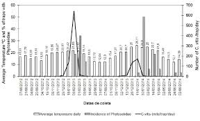 Image result for Calepitrimerus vitis