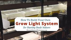 We did not find results for: How To Build A Diy Grow Light System On A Budget
