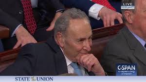 Image result for 2019 state of union, + chuck schumer