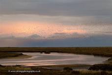 Norfolk saltmarsh - A fragile world
