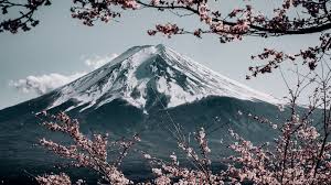 Where can i get free mountain zoom images? Mt Fuji Local Landmark Zoom Background Templates By Canva