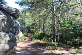 Epingle Sur Randonnee