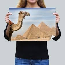 Monitors millions of products and alerts you when prices drop, helping you decide when to buy. Printscapes Wall Art 18 X 12 Canvas Premium Art Print A Camel With The Pyramids In The Background By Deddeda Best Buy Canada