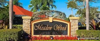 Meadow Wood Wellington Florida Homes For Sale Florida Homes For Sale Meadow Woods Wellington Florida