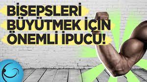 bisepsleri buyutmek icin cok onemli bir ipucu kol kaslari nasil daha da gelistirilir youtube