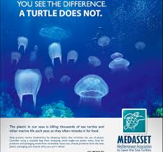 0bc5733f07306f3fe7a3b46e4e2a054b Png 735 685 Save Earth Ocean Pollution Save Our Oceans