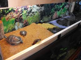 I'd like to something similar size wise with my gecko's but i've been banned from any further diy tanks! Pin On Reptiles As Pets