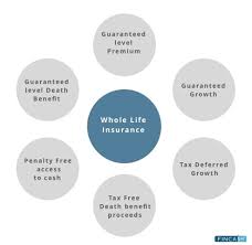 Insurance plans as individuals it is inherent to differ. Whole Life Insurance Whole Life Policy Whole Life Insurance Plans