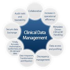 50 Unfolded What Is Clinical Data Management