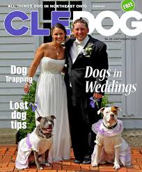Saving homeless pets across america. Cle Dog July August 2020 By Cledog Issuu