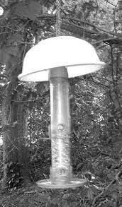 Backyard Birdfeeding 2 Baffling The Squirrels The Creative Cat Wildlife Habitat Squirrel Baffle Backyard Birds