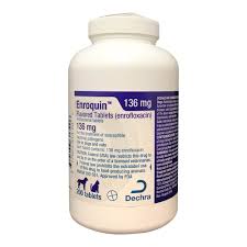 Enrofloxacion Flavored Tablets Lambert Vet Supply