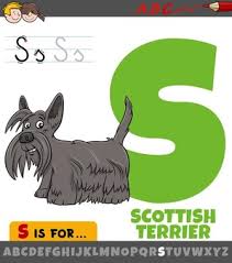 Select from 35715 printable crafts of cartoons, nature, animals, bible and many more. Free Scottish Terrier Vectors 70 Images In Ai Eps Format