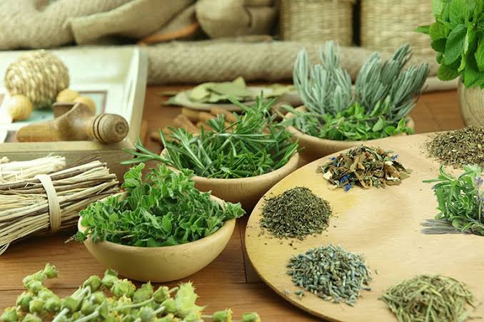 7 Cây Thuốc Nam Chữa Đau Khớp Ngón Tay Hiệu Quả Tại Nhà