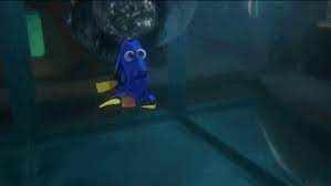 Make your own images with our meme generator or animated gif maker. Finding Dory Octopus Gif By Disney Pixar S Finding Dory Find Share On Giphy
