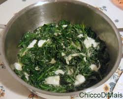 We did not find results for: Spinaci Filanti Con Mozzarella Riceta Contorno