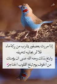 pin by صورة و كلمة on مواعظ خواطر إسلامية islamic photos holy quran arabic quotes