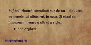 Citate Similare Cu Sufletul Zboară Cateodată Sus De