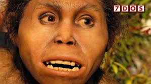 Evidence of the Oldest Humans Outside Africa Discovered