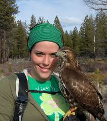 Irish Birds Of Prey Images Rory My Tiercel Red Tailed Hawk Falconry Falconer Lady Women Birds Raptors Bird Of Prey Feathers Green Birds Of Prey Raptors Bird Upland Bird Hunting