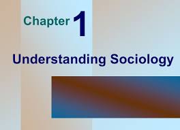 Image result for understanding sociology?