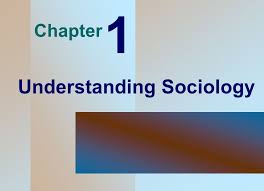 Image result for understanding sociology?
