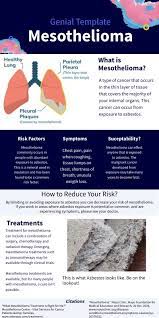 Unparalleled counsel from our new york mesothelioma lawyer. Genial Info By Brandt Kelbaugh On Genially