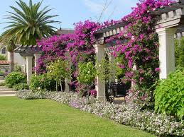 The Society Of The Four Arts Backyard Design Backyard Palm Beach Gardens