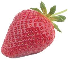 Agitate the herbs in the soapy water, in order to loosen the sticking excretion of the bugs. Whiteflies In Strawberries Nc State Extension Publications