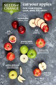 Apple Guide Fall Cooking Apple Recipes Fall Recipes