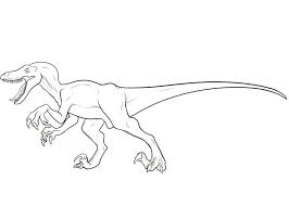 Velociraptor Coloring Pages Best Coloring Pages For Kids Coloriage Dinosaure Dessin Dinosaure Dessin