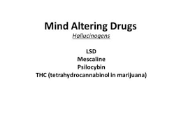 Hallucinogens Slides by: Bruna Brands, PhD