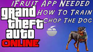 What's the best way to play catch with chop? Gta 5 How To Train Chop The Dog Youtube