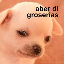 Best collection of funny gtx 1080 pictures. Groserias Fuertes Memes Del Perrito Facebook